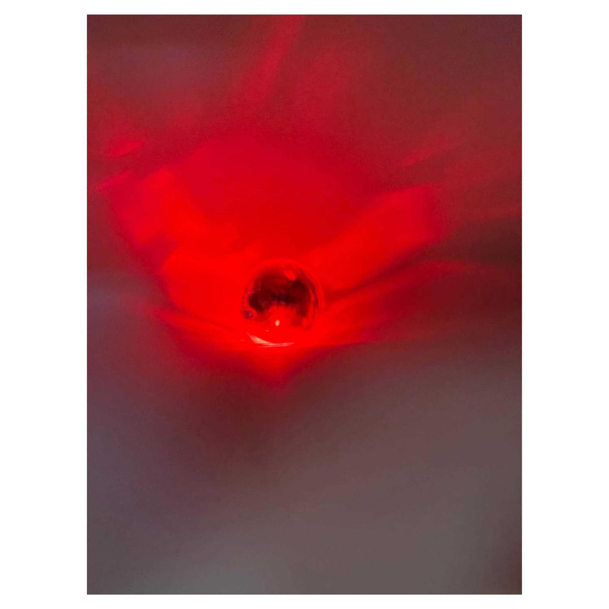 LED Motion Activated Cat Ball D30213