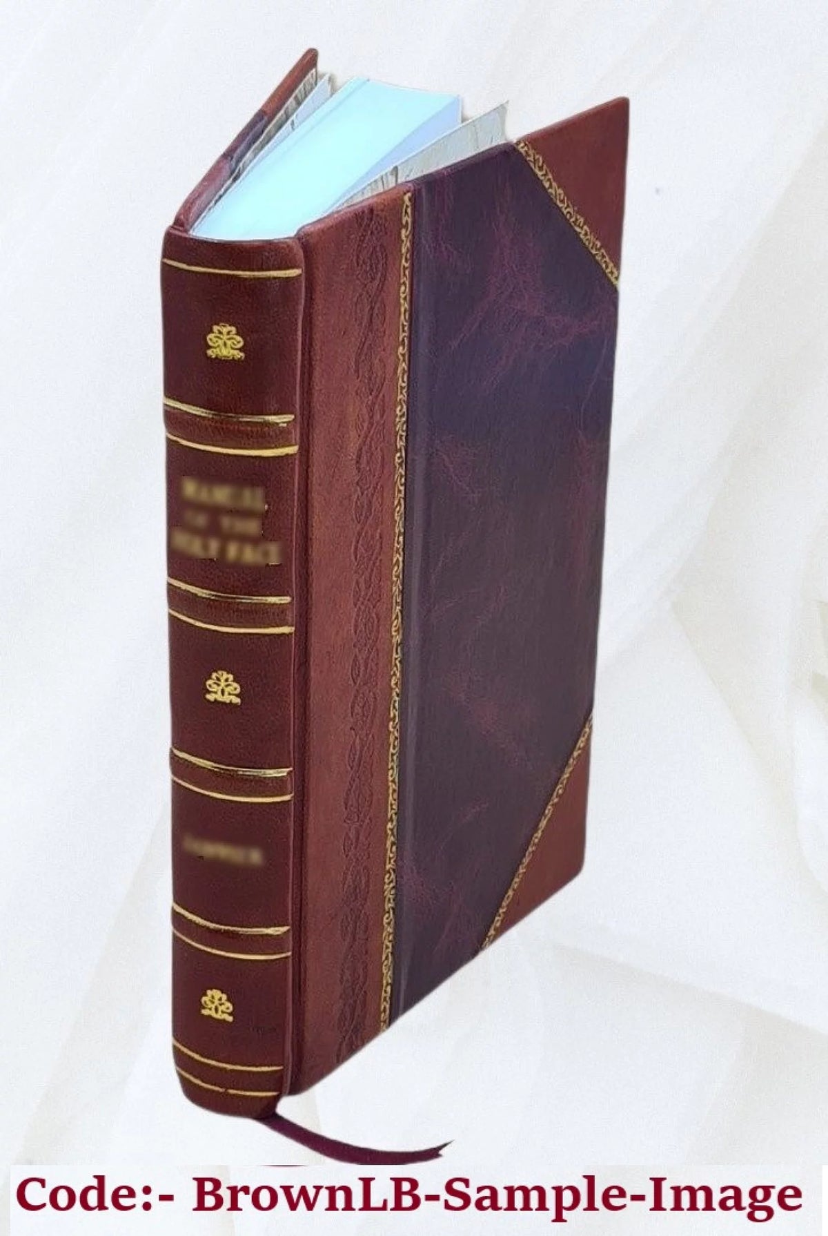 Leather Bound Y969
