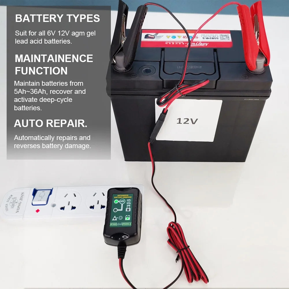 6V 12V Automatic Battery Charger Maintainer T31749