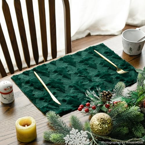 Green Christmas Placemats Set of 4 N478819