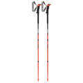 Carbon 130 cm Trekking Poles Z8810