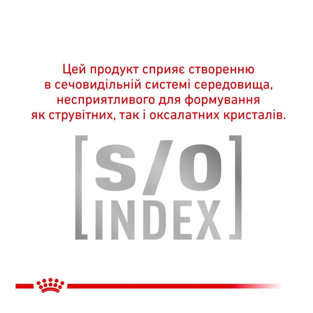 Small Dog Food Y153