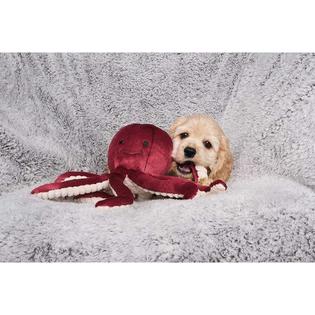 Olympia Octopus Pet Supplies P465155