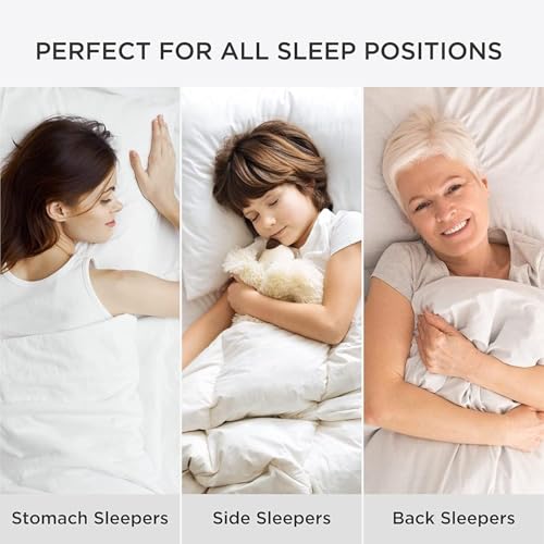 King Size Down Alternative Pillows Set of 2 J229