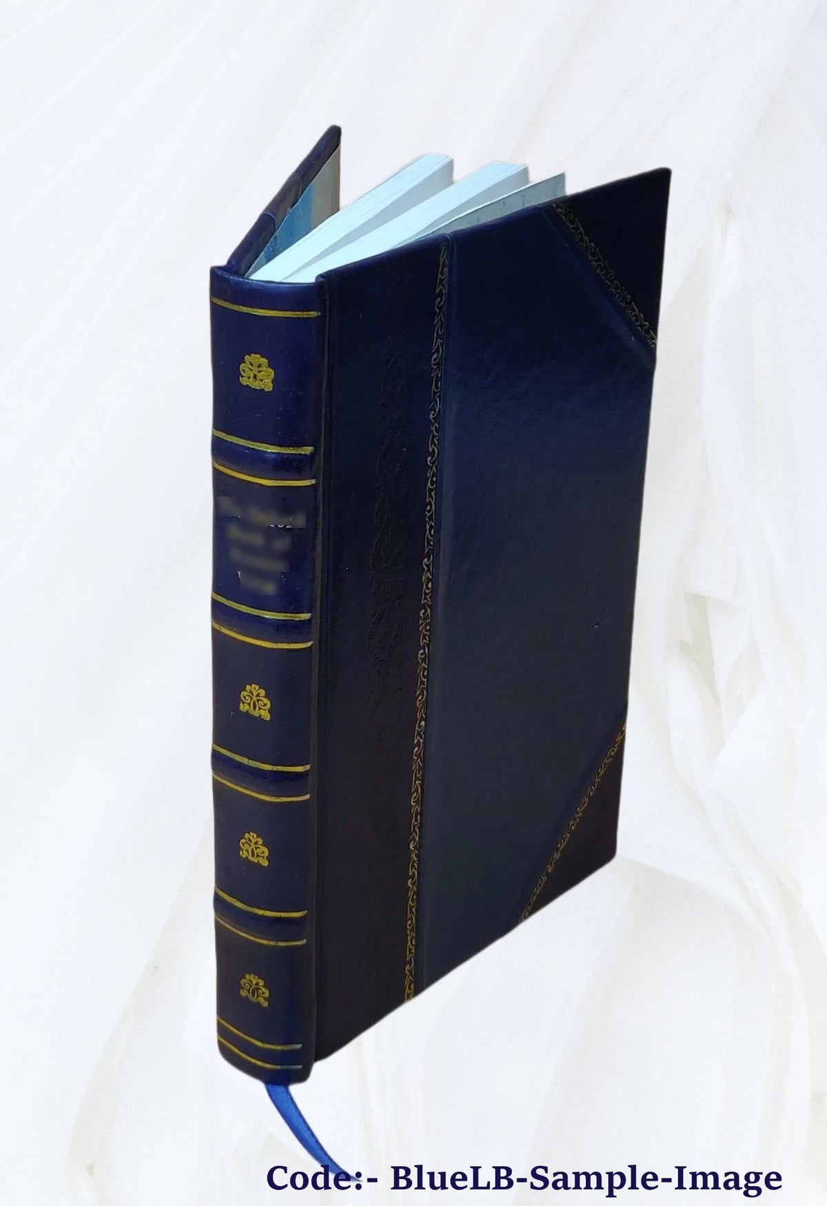A general history of the pyrates Leather Bound N461049