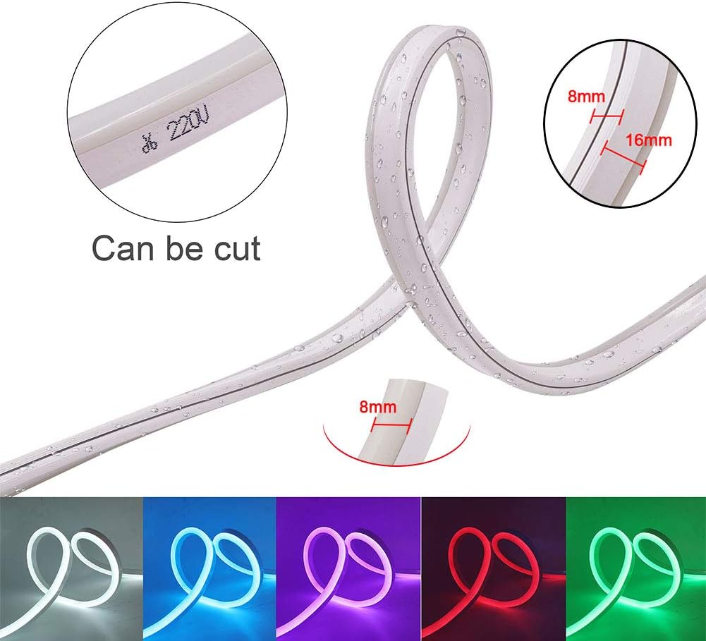 99ft LED Neon Rope Strip Light with Remote Controller N564