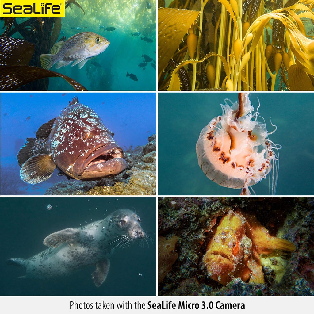 Underwater Camera & Dual Light Set T687