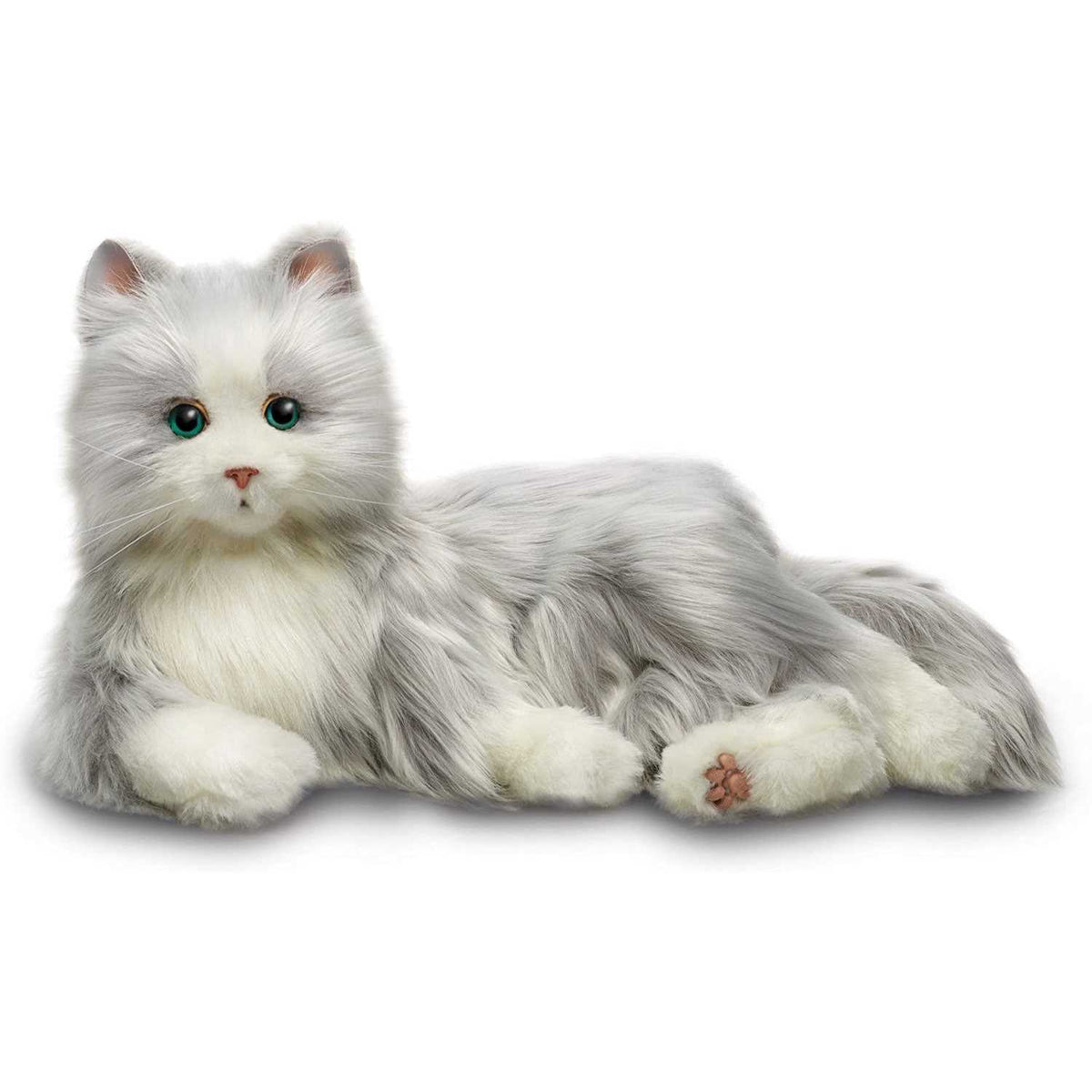 Companion Pet Cat S278927