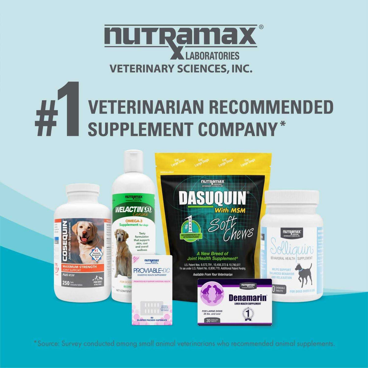Omega-3 Supplement Soft Chews For Dogs Z8777