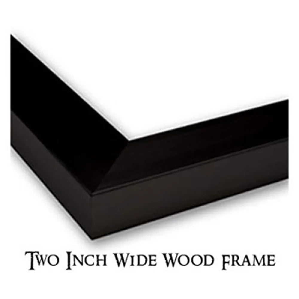 Black Modern Framed Museum Art Print D4011