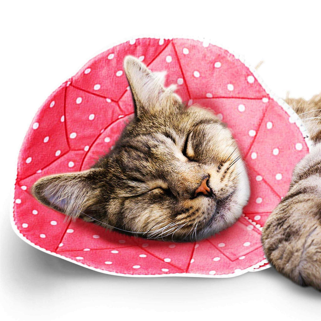 Soft Collar for Small Dogs & Cats Z212