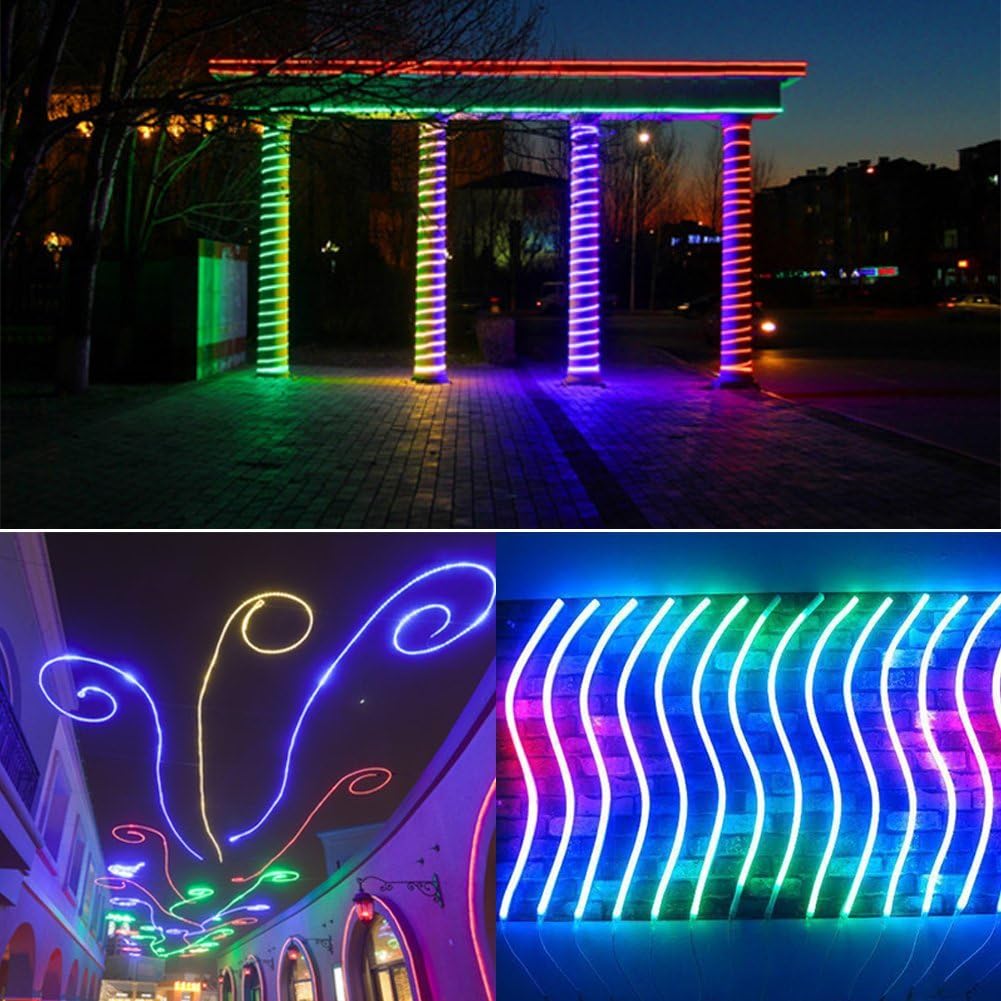 99ft LED Neon Rope Strip Light with Remote Controller N564