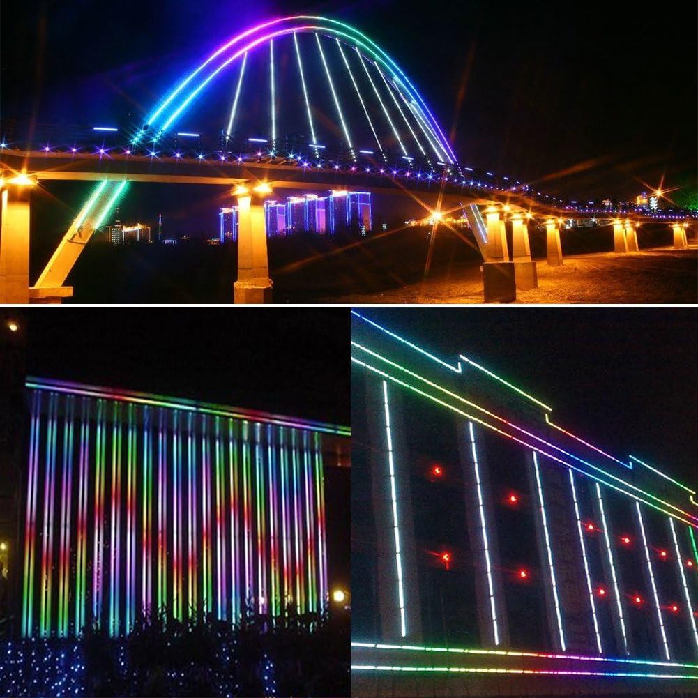 99ft LED Neon Rope Strip Light with Remote Controller N564