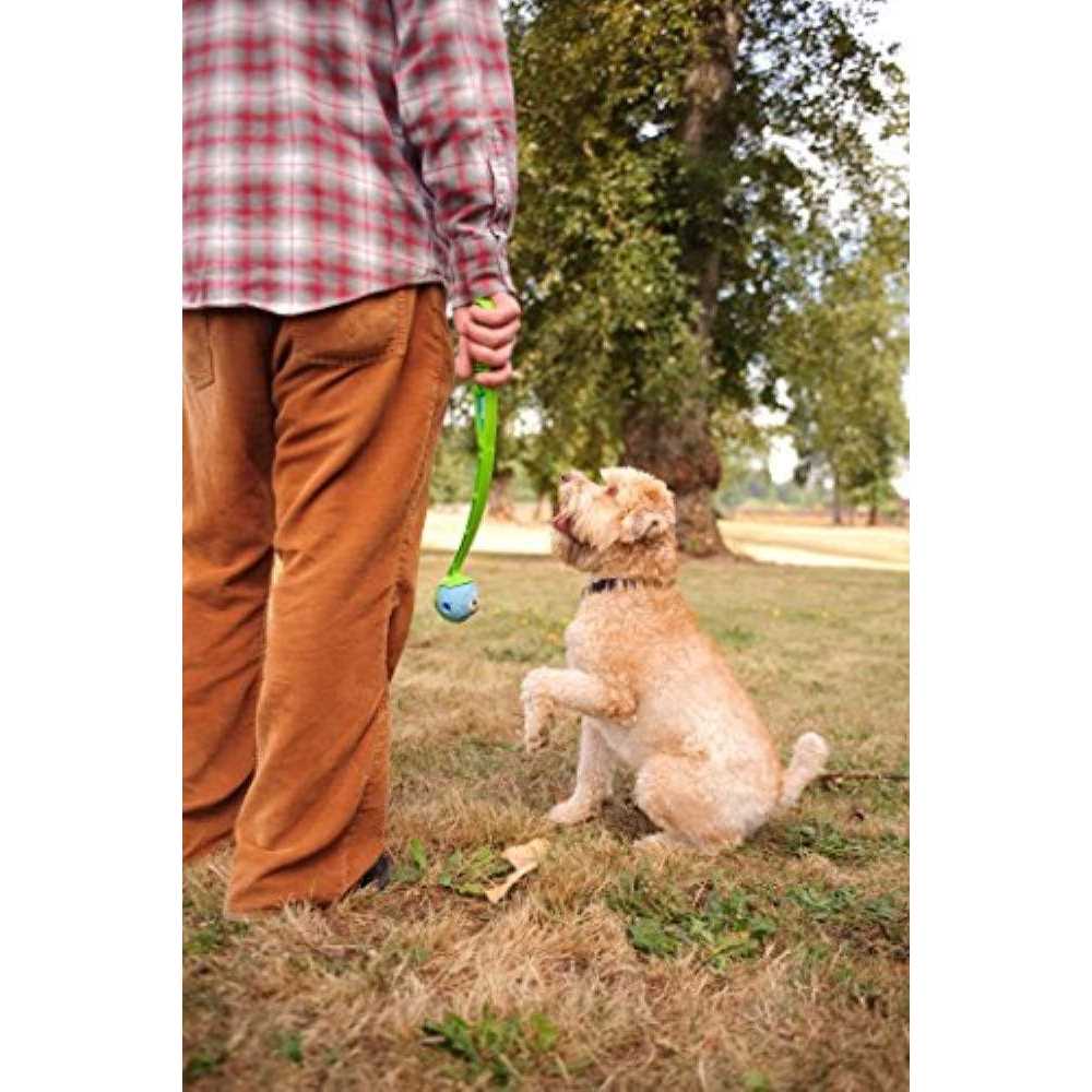 Fetch Medley Pet Supplies M17866