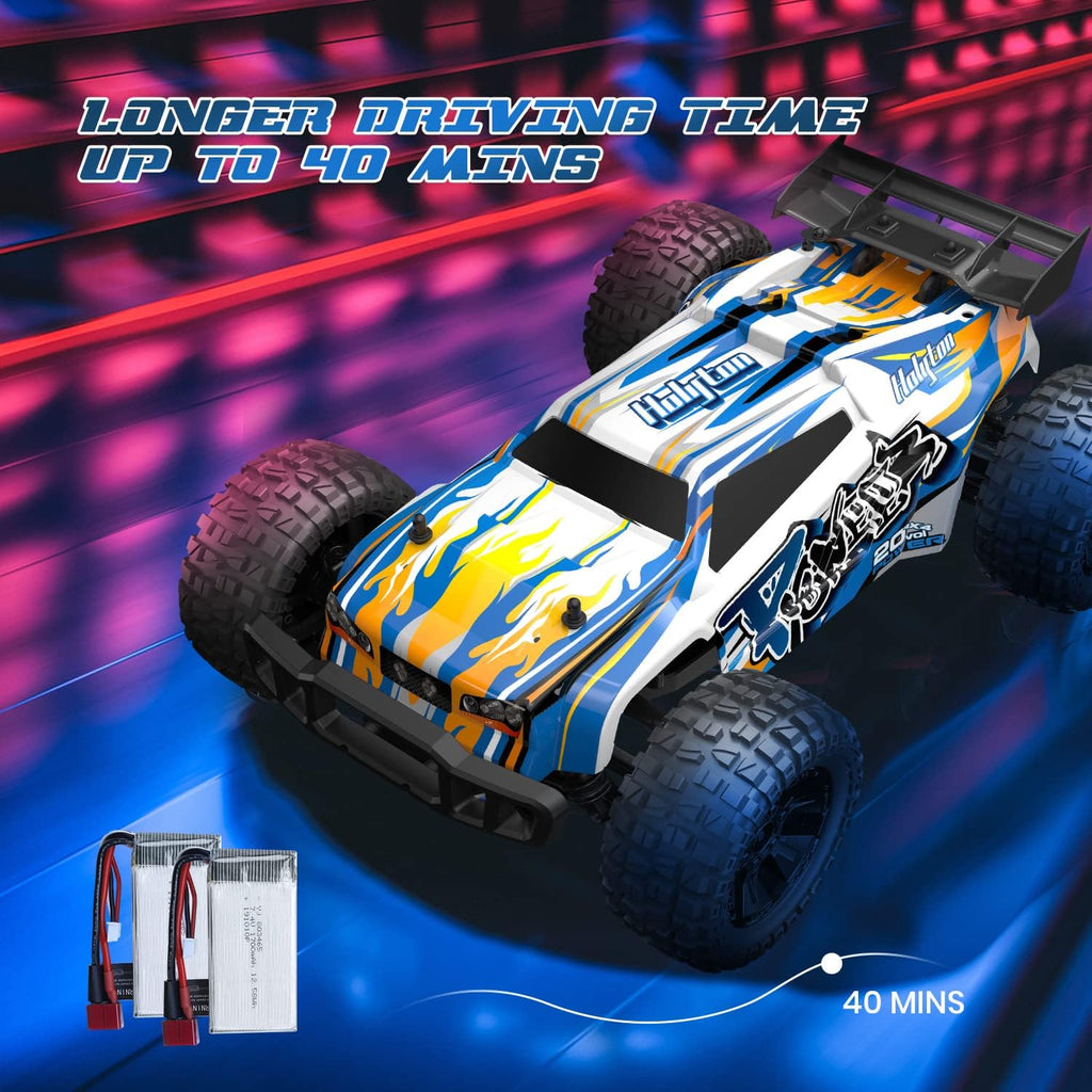 Remote Control Car 1:10 Scale 4WD Off Road Monster Truck D849