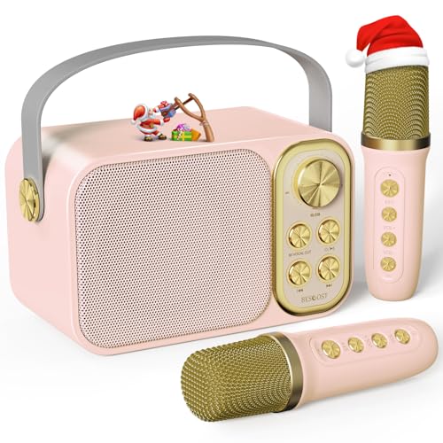 Mini Karaoke Machine with 2 Wireless Microphone, Portable Bluetooth Speaker F726