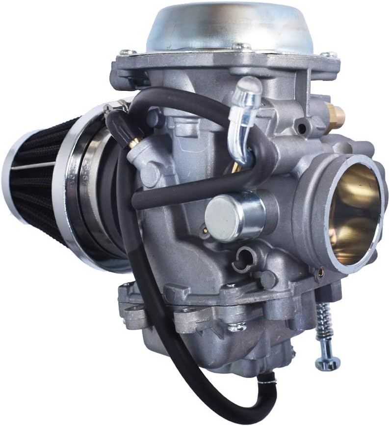 Carburetor with Air Filter B795984