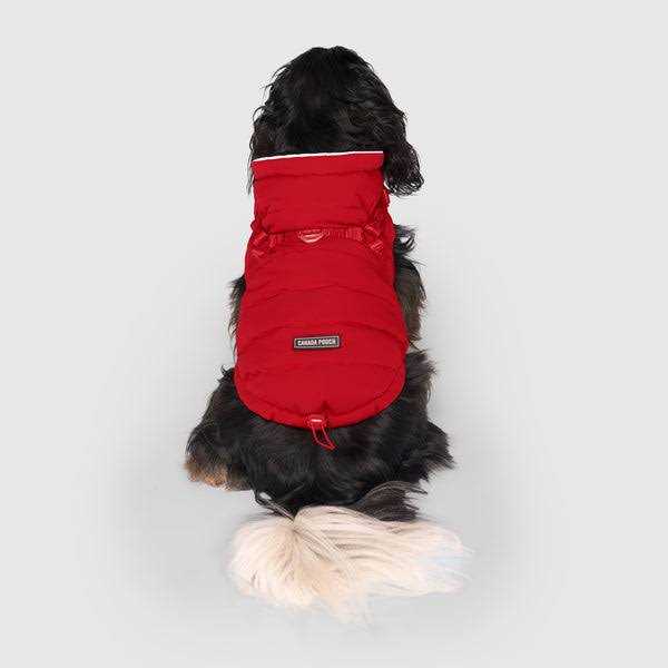 Black Puffer Harness K4660