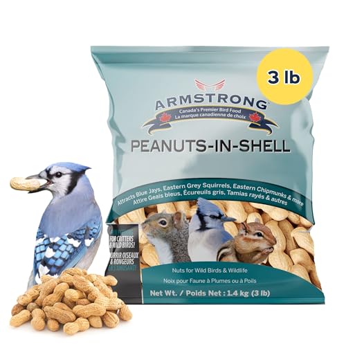 Peanuts-in-Shell, 10 Pounds Z516