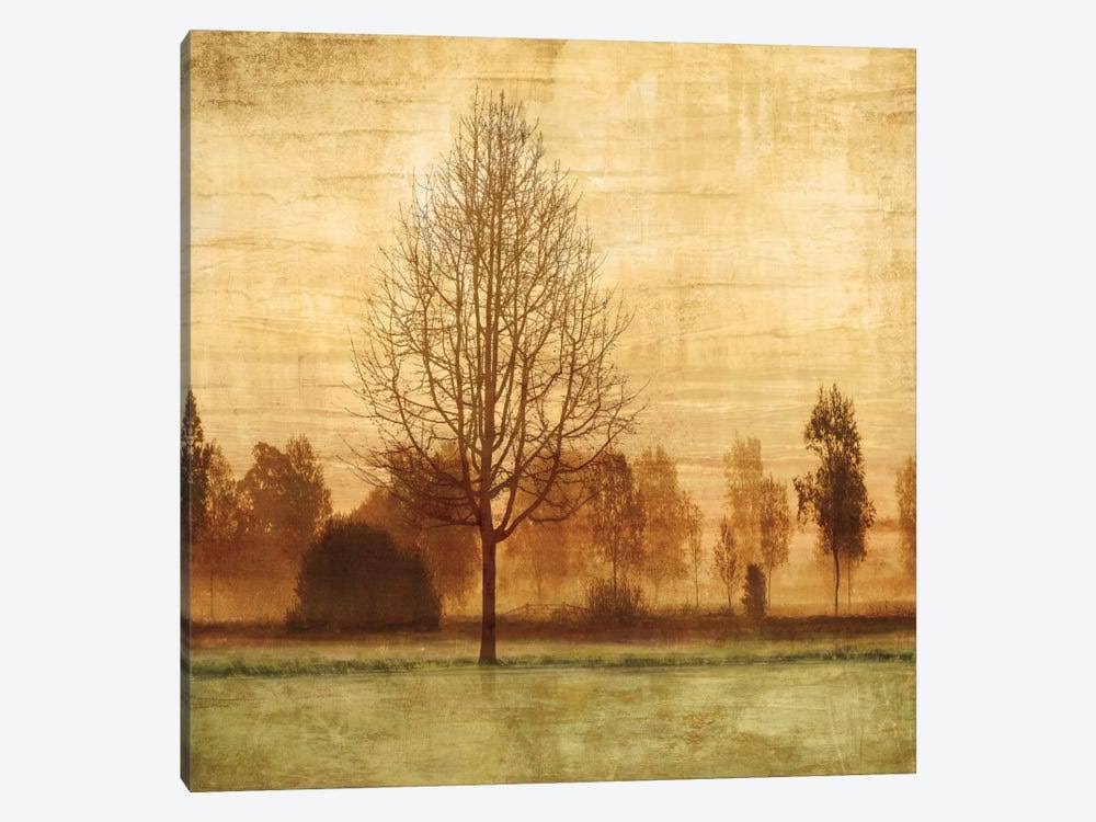 Canvas Art Picture P7544