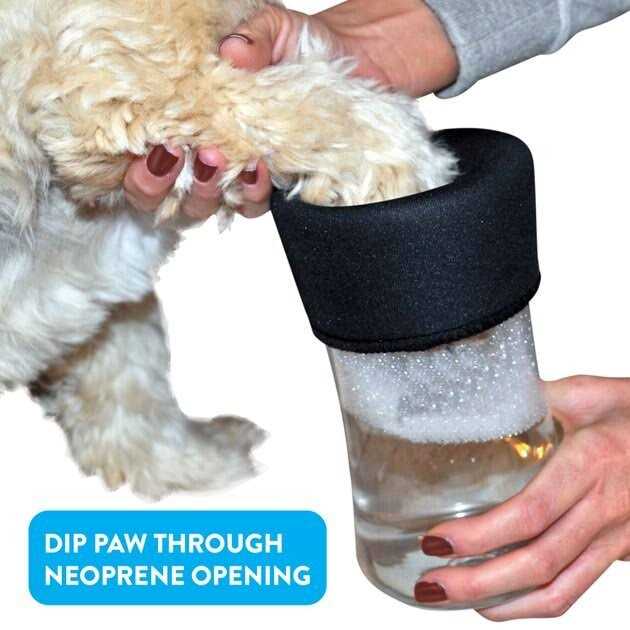 Dog Footbath W953