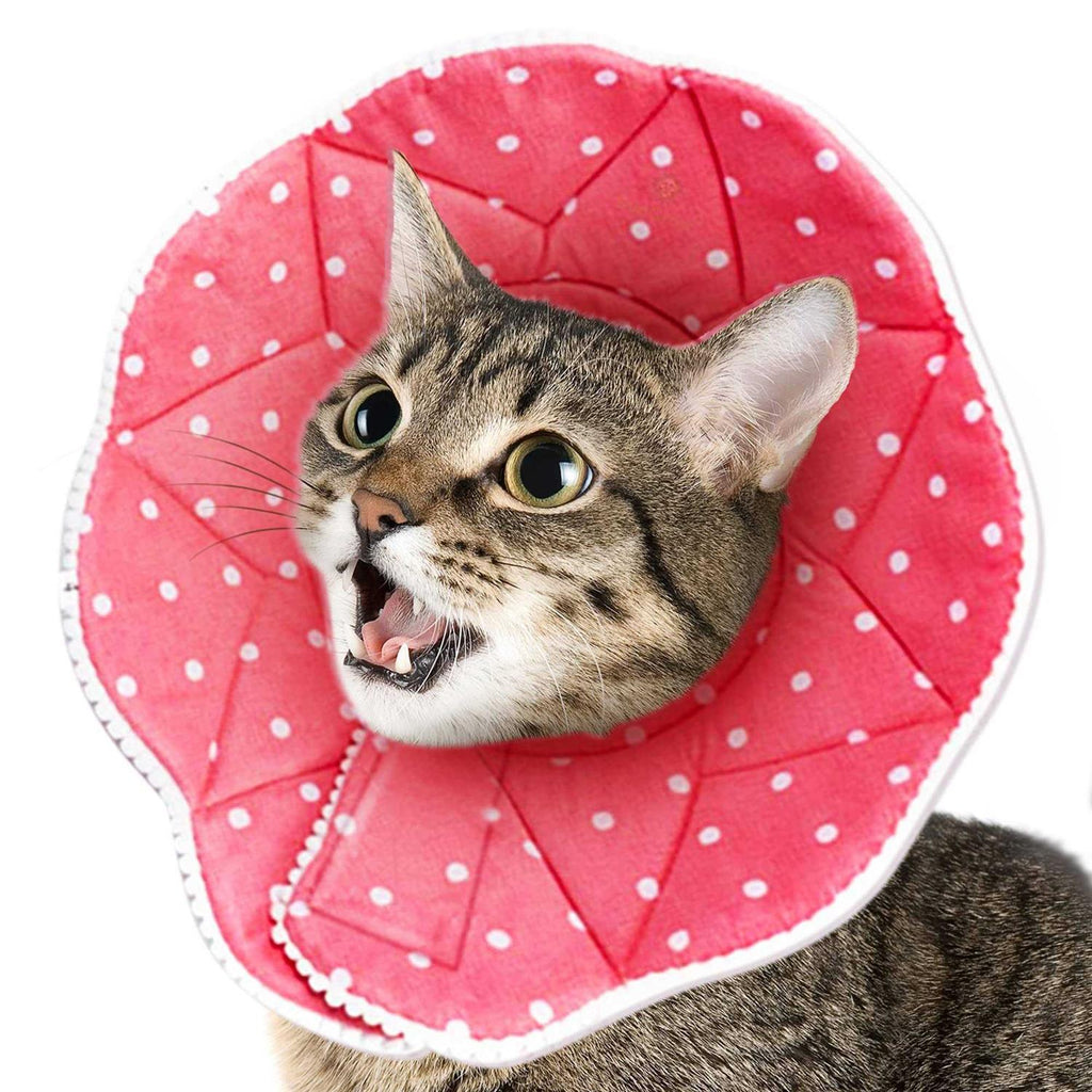 Soft Collar for Small Dogs & Cats Z212
