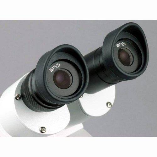 Student Forward Binocular Stereo Microscope 10X-20X-30X-60X H8079