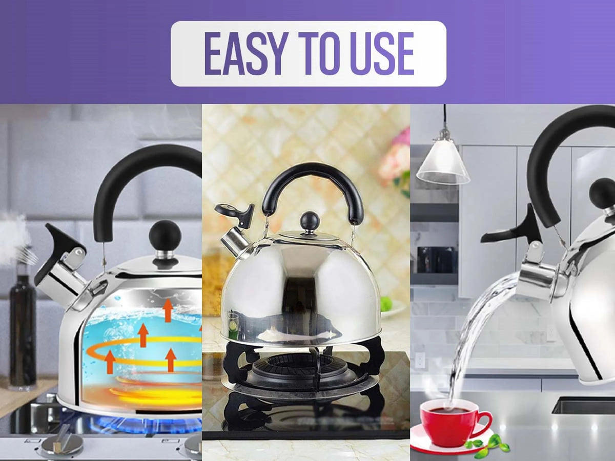 Stainless Steel Whistling Tea Kettle E521