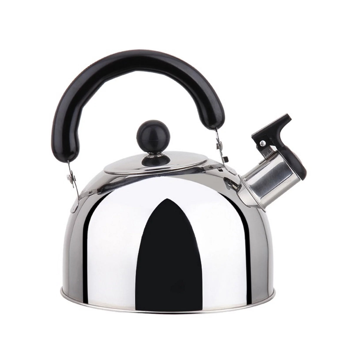 Stainless Steel Whistling Tea Kettle E521