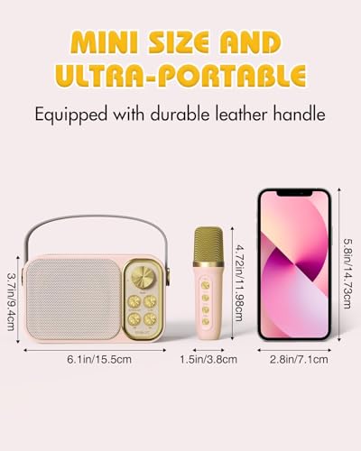 Mini Karaoke Machine with 2 Wireless Microphone, Portable Bluetooth Speaker F726