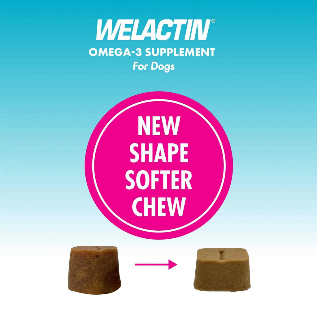 Omega-3 Supplement Soft Chews For Dogs Z8777