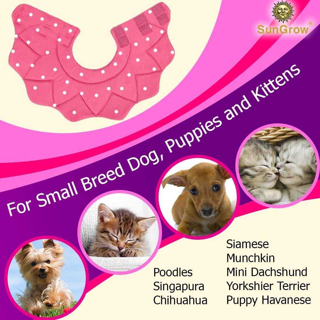 Soft Collar for Small Dogs & Cats Z212
