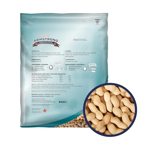 Peanuts-in-Shell, 10 Pounds Z516