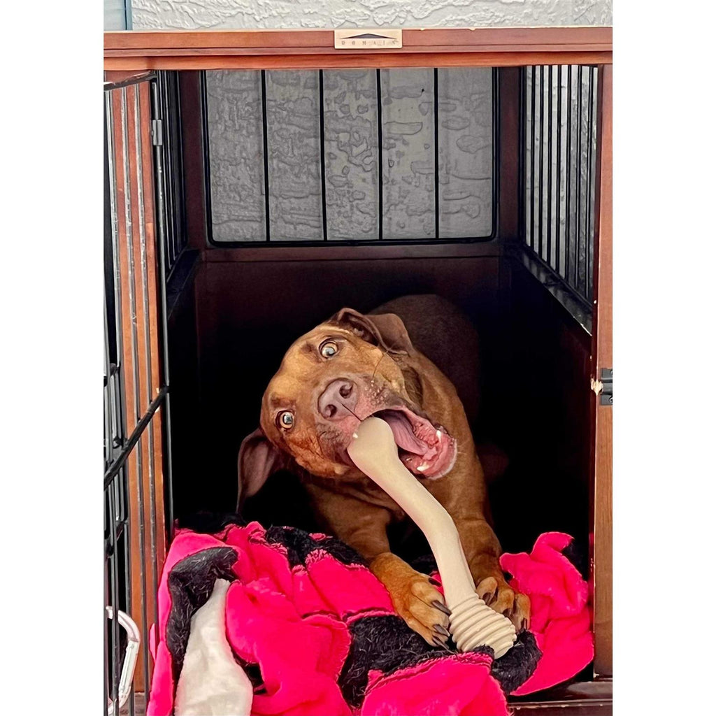 Tough Dog Chew Beef Q286
